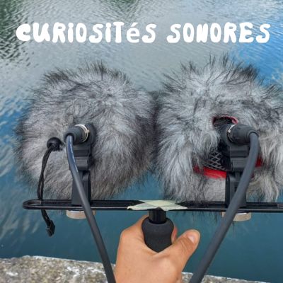 Curiosités sonores